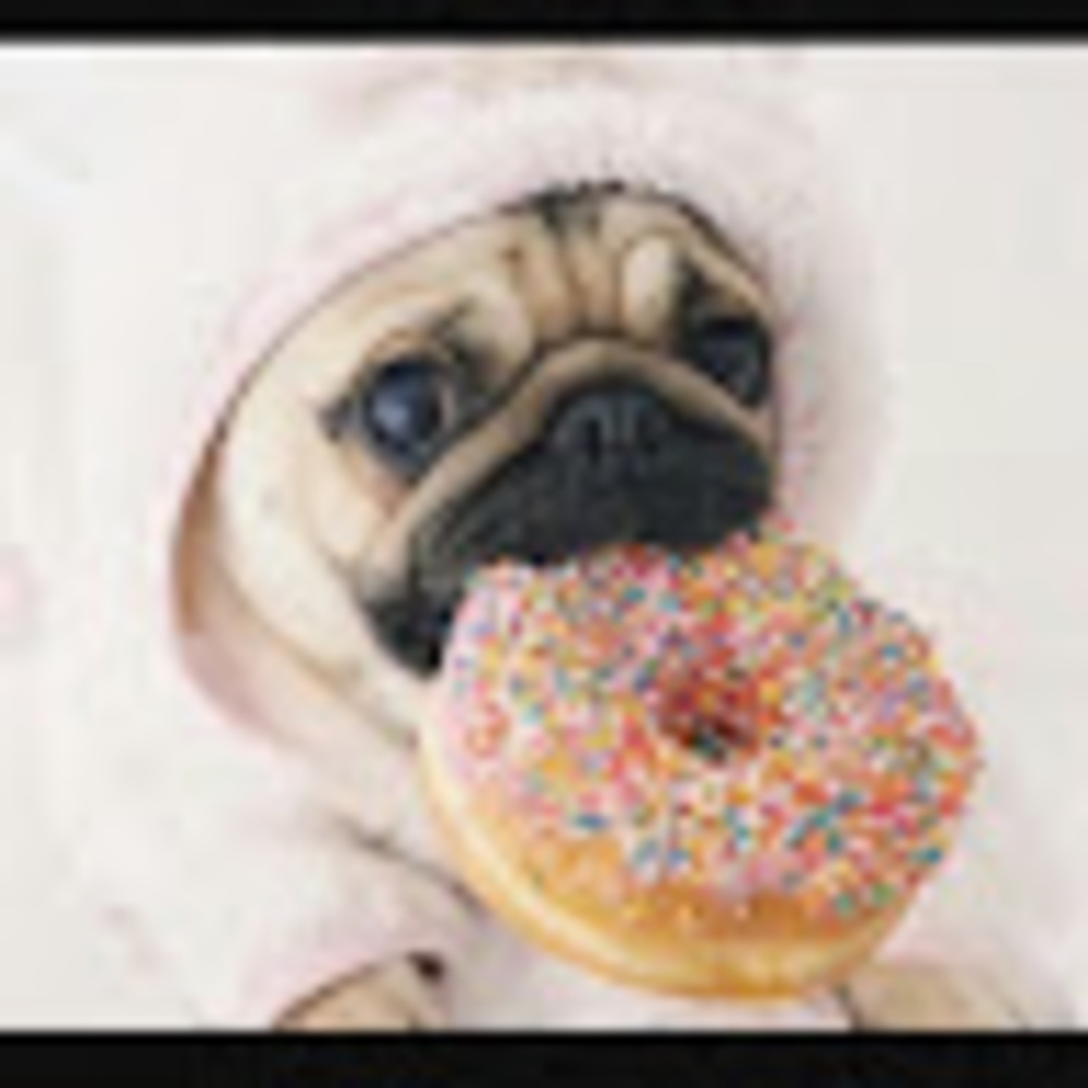 Meet your Posher, Maria